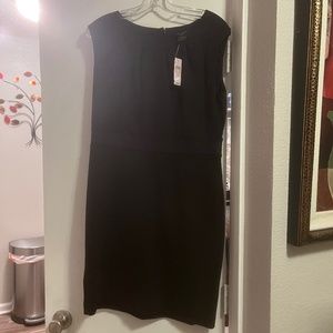 Black Brand NEW Ann Taylor dress